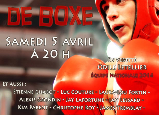 Gala de boxe Lévis
